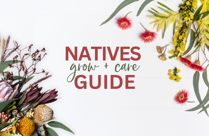 Native plants