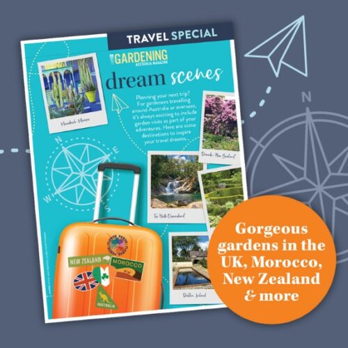 Planning your next holiday? Check out our free travel special! Travel special