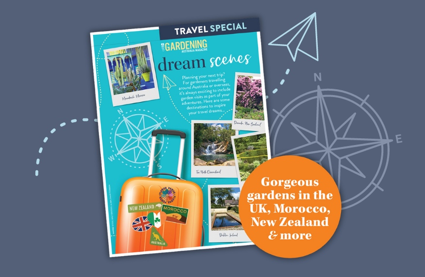 Travel special
