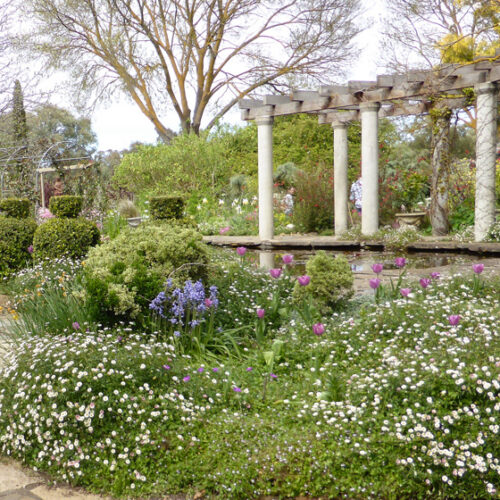 Al Ru Farm Al Ru Farm - Open Gardens South Australia