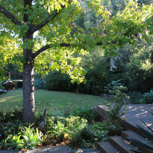 Fifty Shades of Green Fifty Shades of Green - Open Gardens South Australia