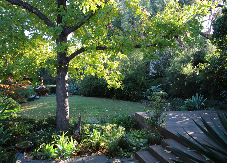 Fifty Shades of Green - Open Gardens South Australia