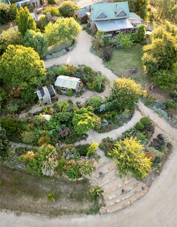 Lily Langham garden aerial view