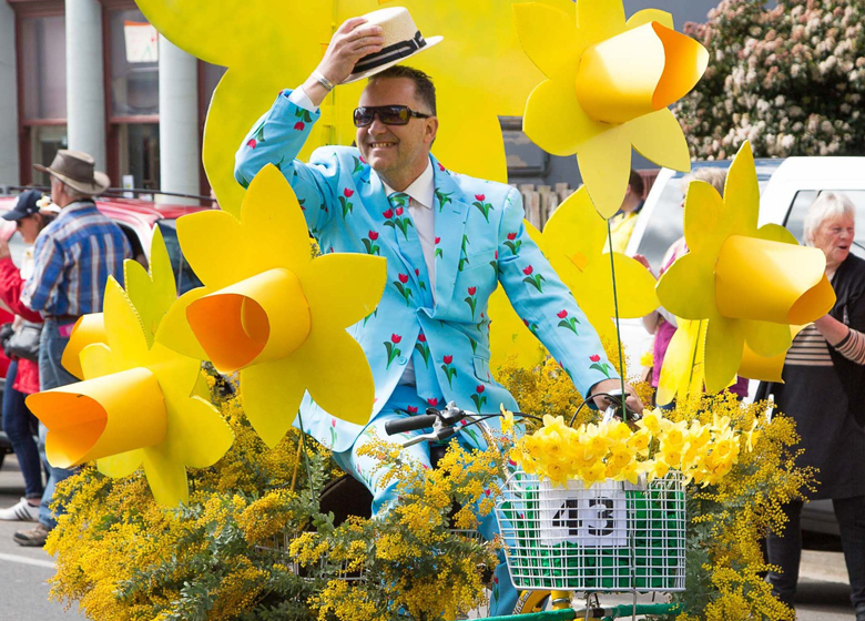 Winning bicycle entry, kyneton Daffodil & Arts Festival