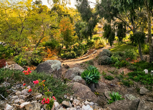 Y Creigiau - Open Gardens South Australia