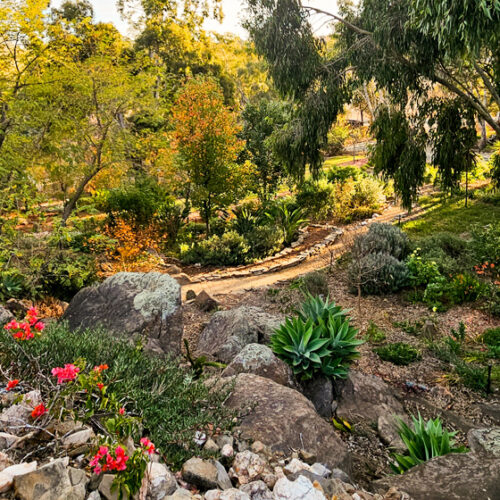 Y Creigiau Y Creigiau - Open Gardens South Australia