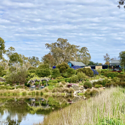 Coliban Springs Coliban Springs Victoria