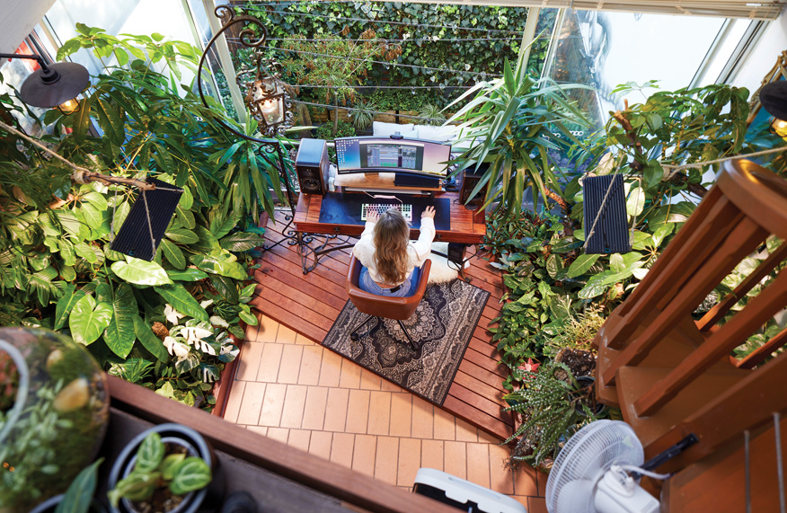 Houseplants in the TNK Loft