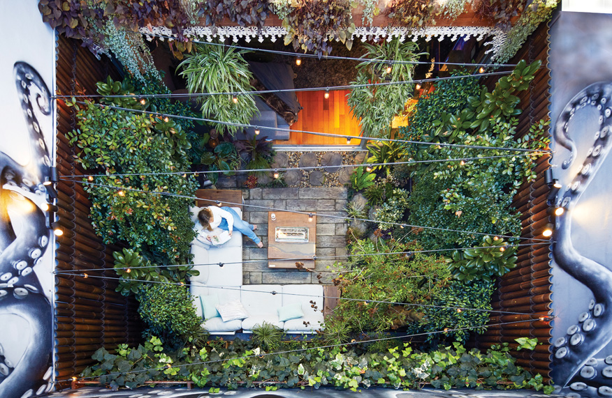 Courtyard garden