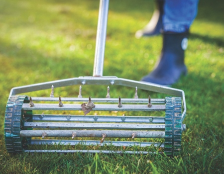 spring gardening jobs: de-thatch the lawn