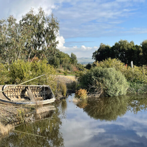 Eden Rise Eden Rise Open Gardens Victoria