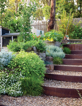 Chloe Thomson has created gravel steps in her garden