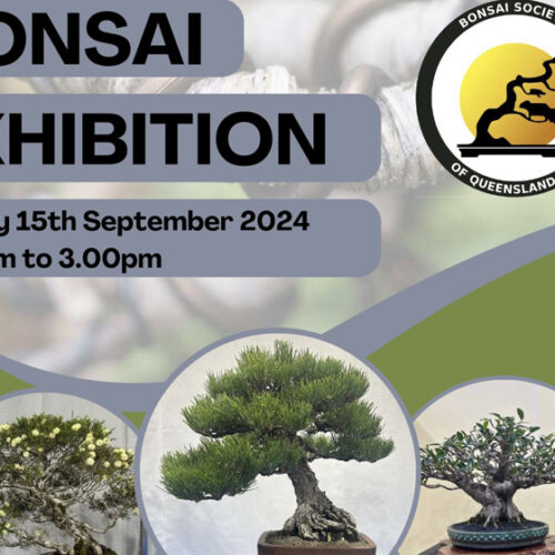 The Bonsai Society of Queensland Annual Exhibition The Bonsai Society of Queensland Annual Exhibition