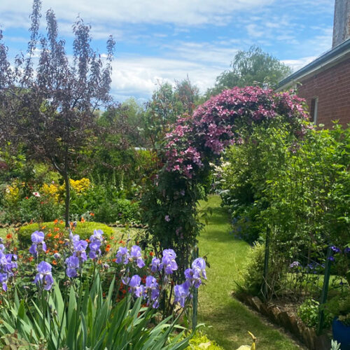 Millthorpe Garden Ramble Millthorpe Garden Ramble