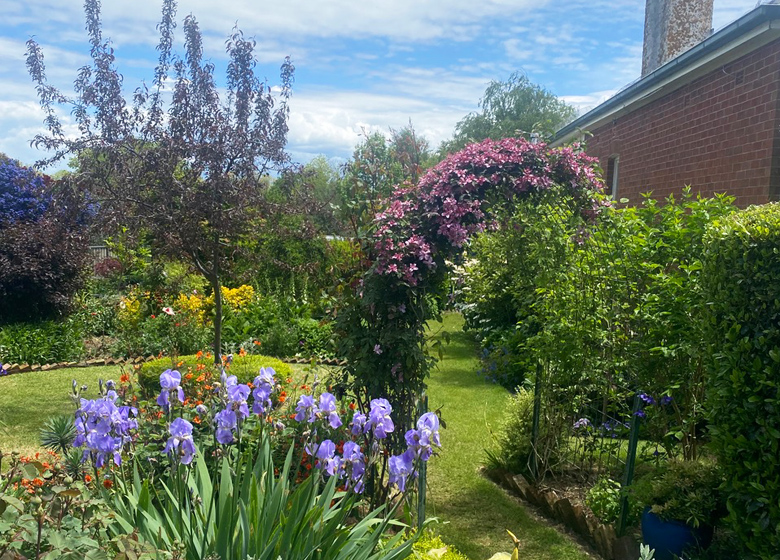 Millthorpe Garden Ramble