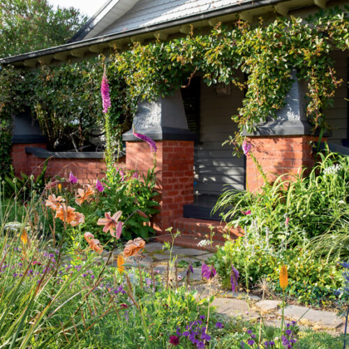 Ordered chaos James Beattie's garden in Melbourne