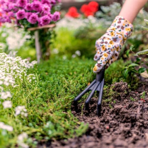 spring gardening jobs