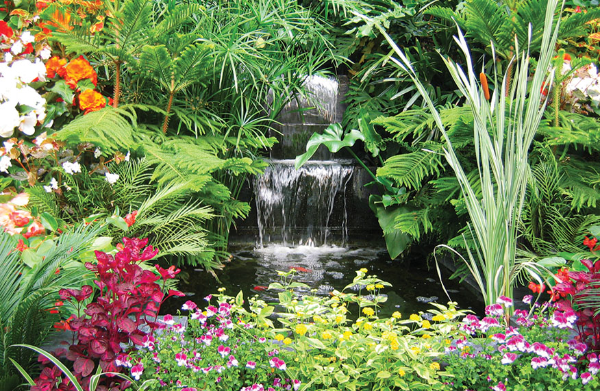 Water feature in garden