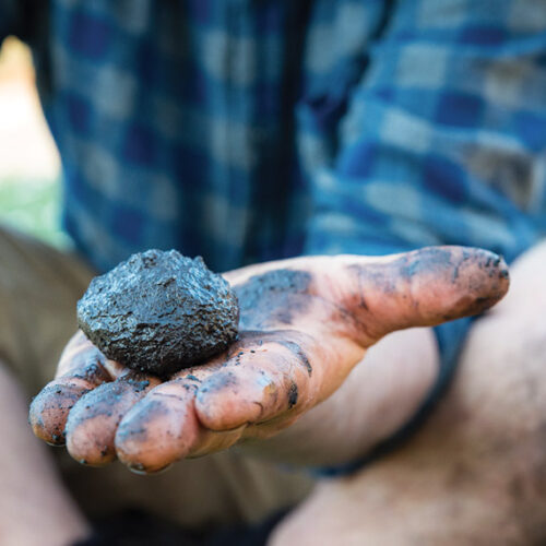 Soil test with Tino