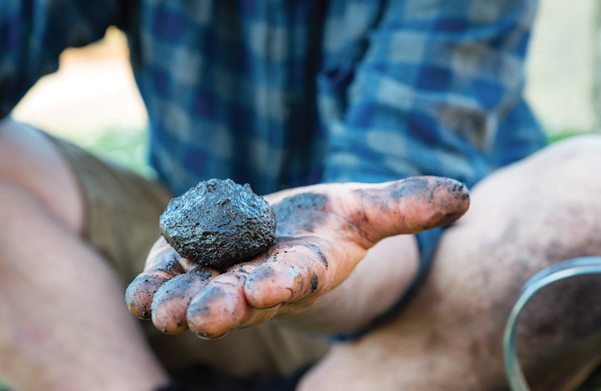 Soil test with Tino
