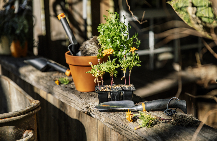 Repot your plants with Fiskars