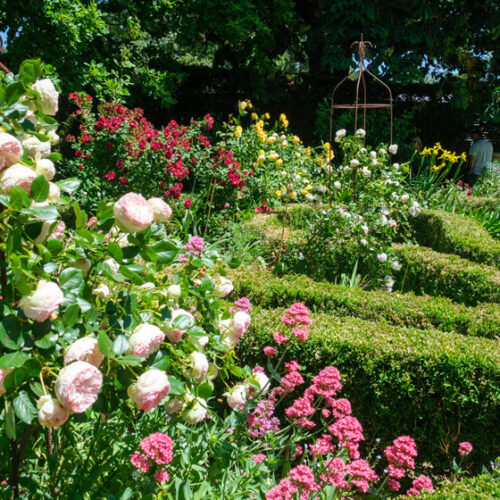 Creswick Garden Lovers Weekend Creswick Garden Lovers Weekend