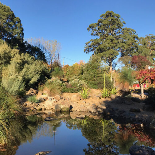 Eungella Eungella