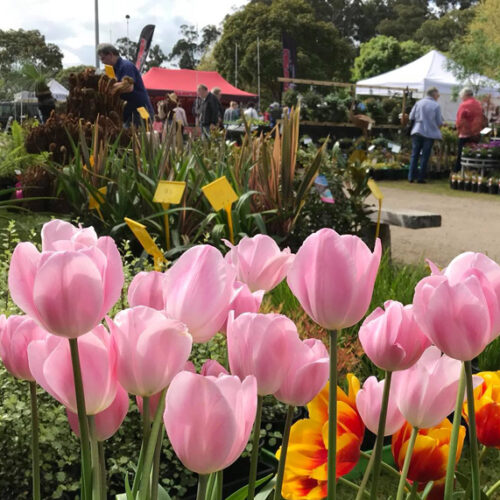 Lardner Park Garden + Home Expo Lardner Park Garden + Home Expo