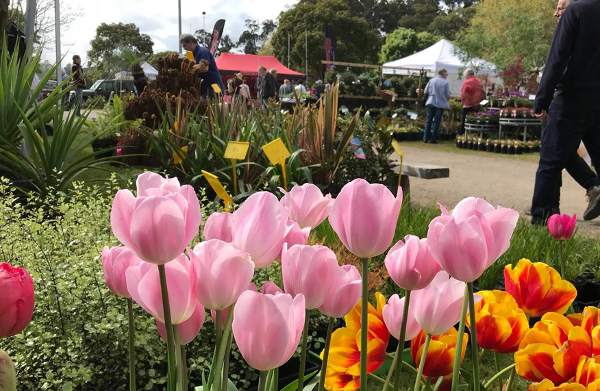 Lardner Park Garden + Home Expo