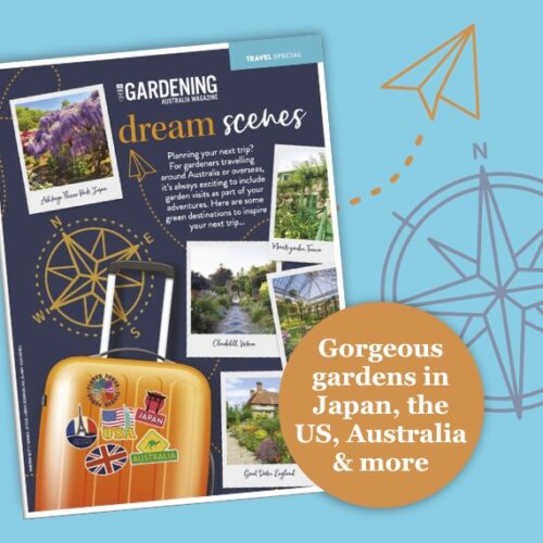 E-book header