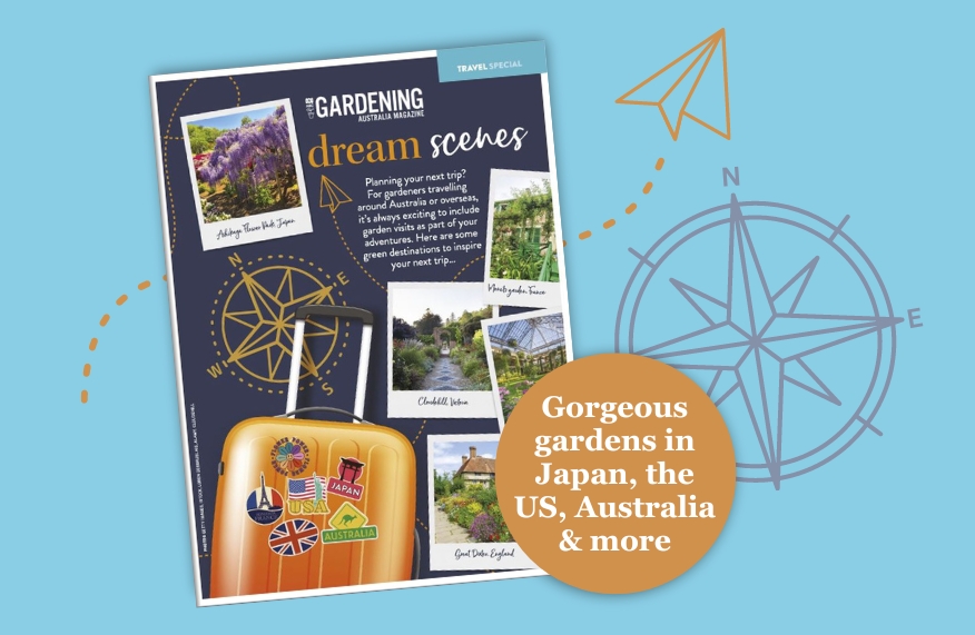 E-book header