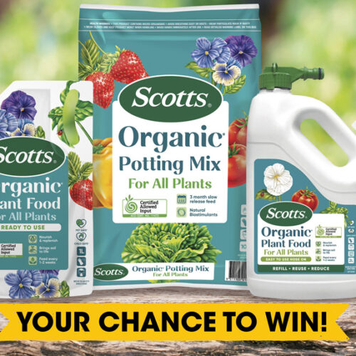 Website comp Scotts