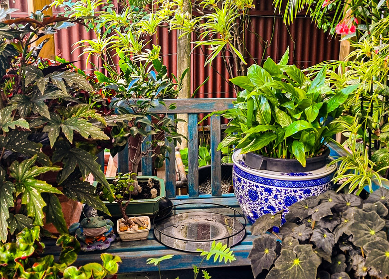 Anna's Garden