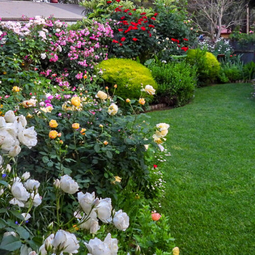 Christine’s Cottage Garden Christine's Cottage Garden