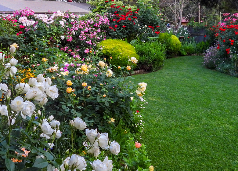 Christine's Cottage Garden