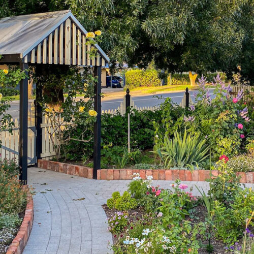 Claire’s Garden Claire's garden South Australia