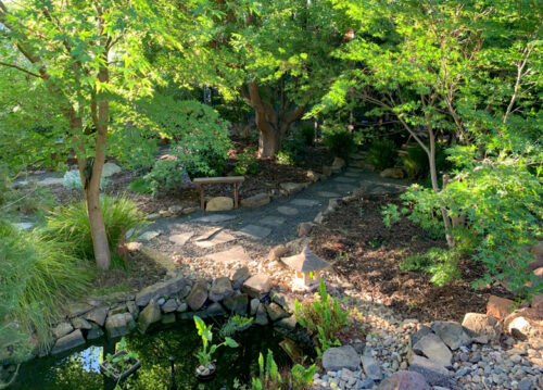 Dhulwa: Open Gardens Canberra