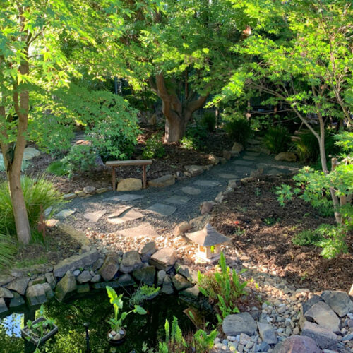 Dhulwa Dhulwa: Open Gardens Canberra