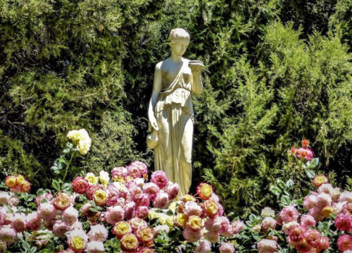 Drouin garden South Australia