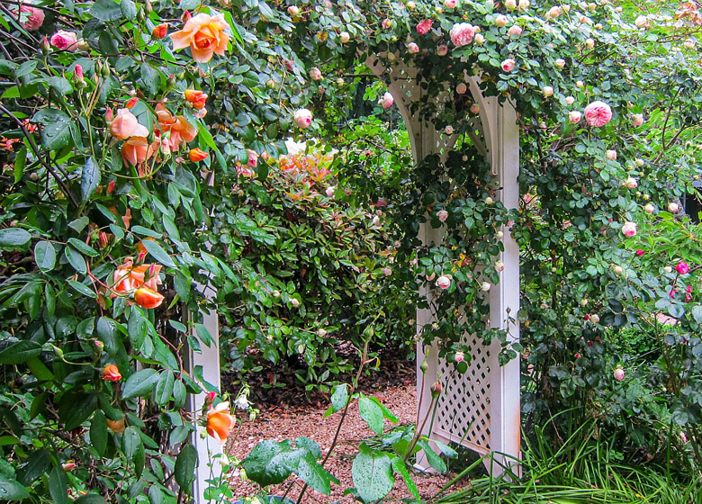 Edenwood: Open Gardens South Australia