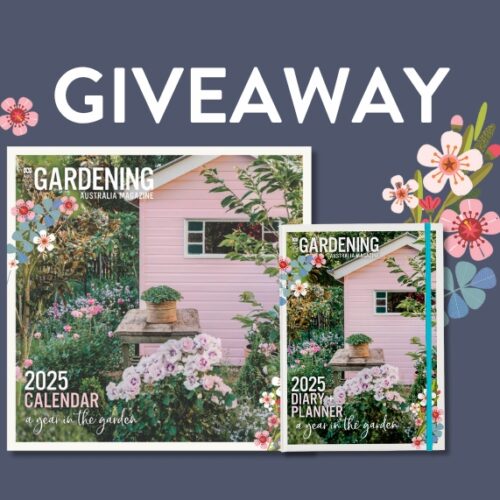 Giveaway