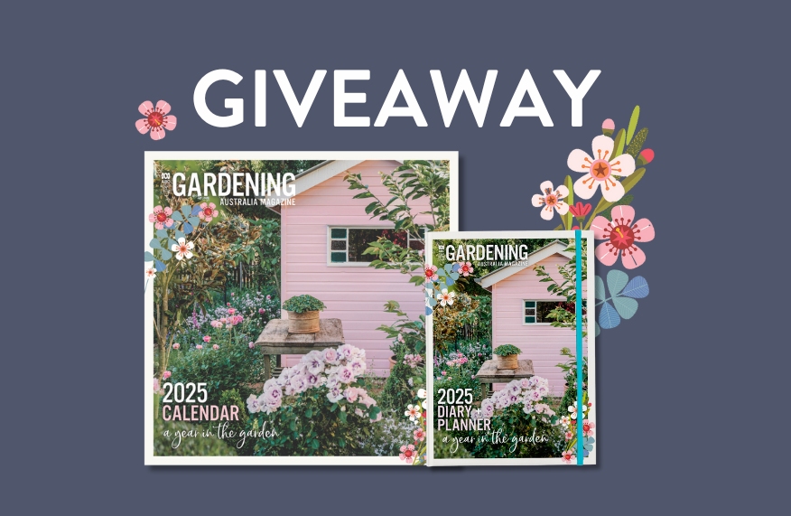 Giveaway