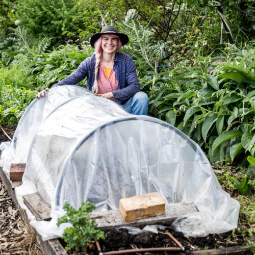 Making microclimates Microclimates