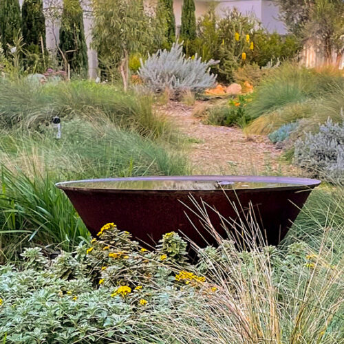 Moorakyne Moorakyne: Open gardens SA