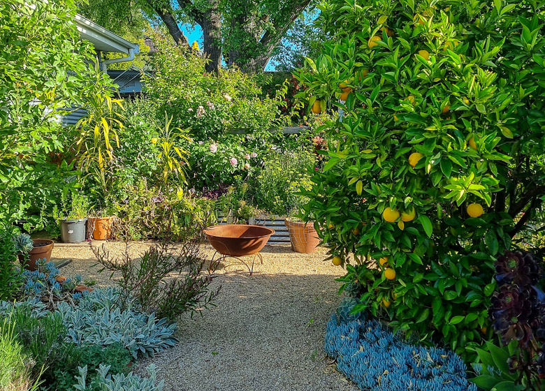 Pam's Garden