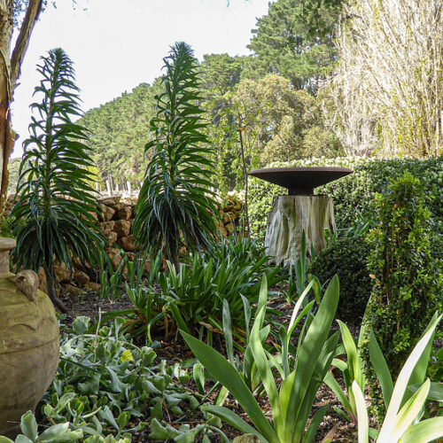 St Mary’s Vineyard St Marys Vineyard: Open Gardens South Australia