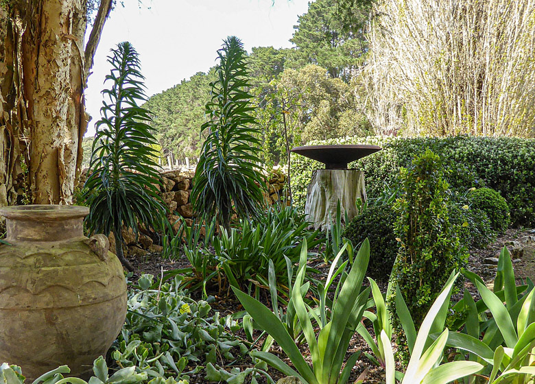 St Marys Vineyard: Open Gardens South Australia