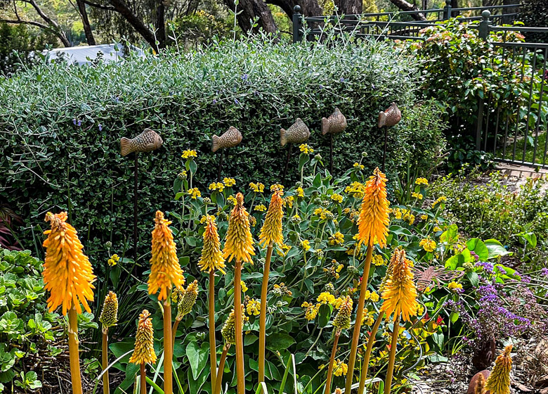 The Glasshouse: Open Gardens SA