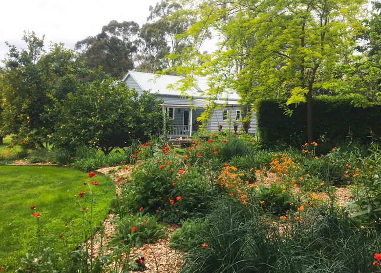 Treasure Perennials