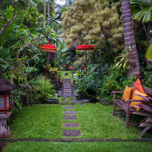Tropical Foliage Festival 2024 Tropical Foliage Festival